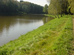 DSC05507